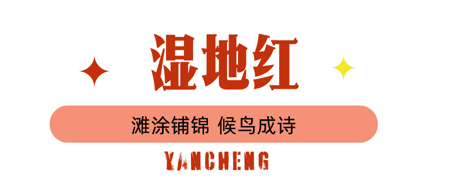 蓝绿色图文旅游微信公众号封面 (1).png