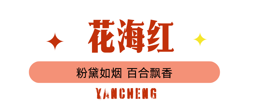 蓝绿色图文旅游微信公众号封面 (3).png