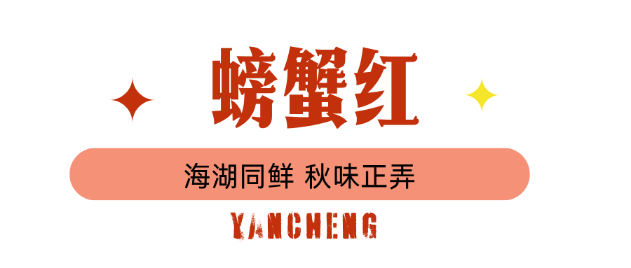蓝绿色图文旅游微信公众号封面 (7).png