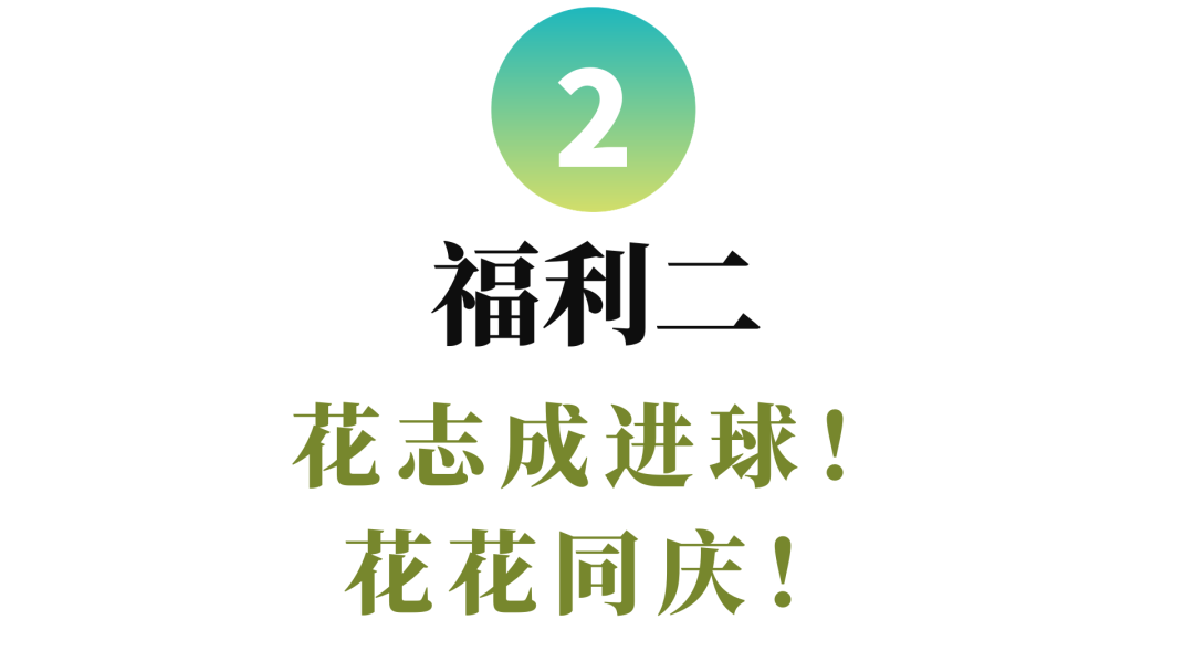 黄绿色足球争霸 (1).png