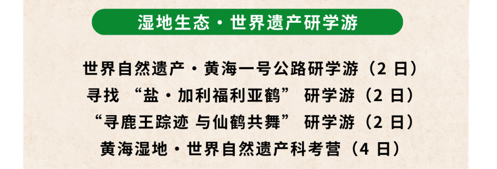 米色卡其色简约便签旅游签证办理汇总知识通用小红书详情页 (3).png