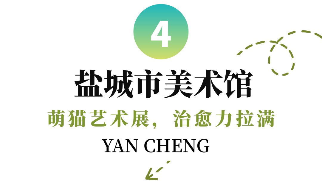绿色系风景旅游社产品宣传演示文稿 (4).png