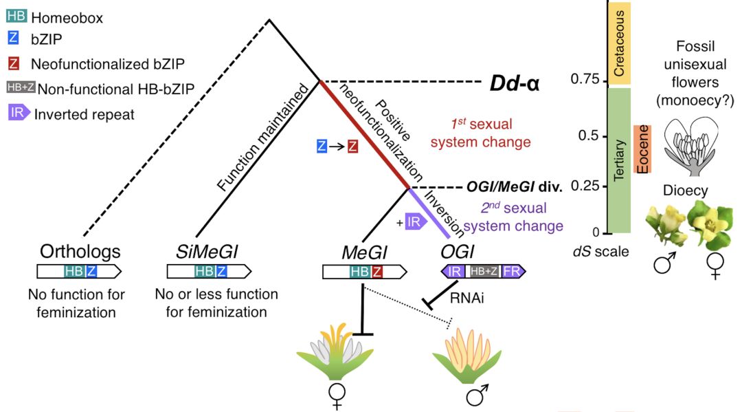 科学网—PLOS 郝兆东的博文