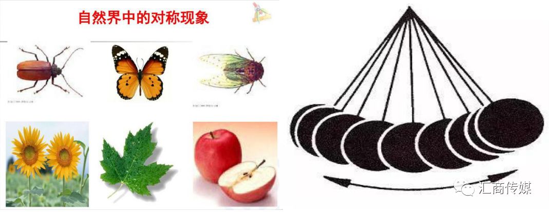 千万级资金操盘手解读周期的奥秘