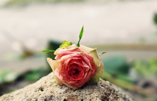 640?wx_fmt=png&tp=webp&wxfrom=5&wx_lazy=1&wx_co=1