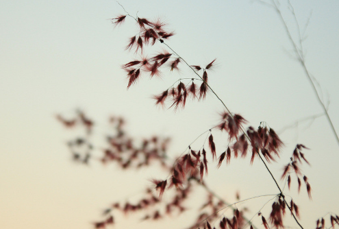 640?wx_fmt=png&tp=webp&wxfrom=5&wx_lazy=1&wx_co=1