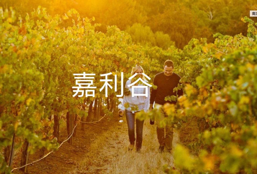 澳洲“封国”一年多，这些悄悄发生的变化，让全世界羡慕（组图） - 29