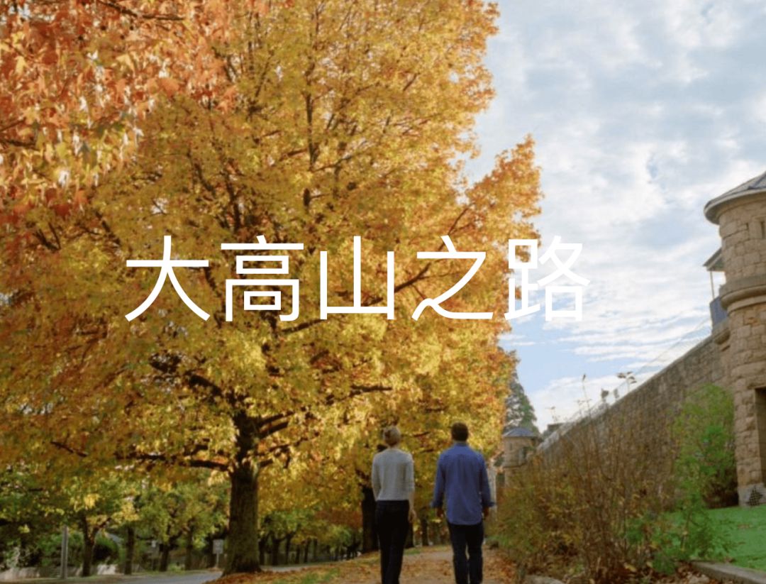澳洲“封国”一年多，这些悄悄发生的变化，让全世界羡慕（组图） - 21