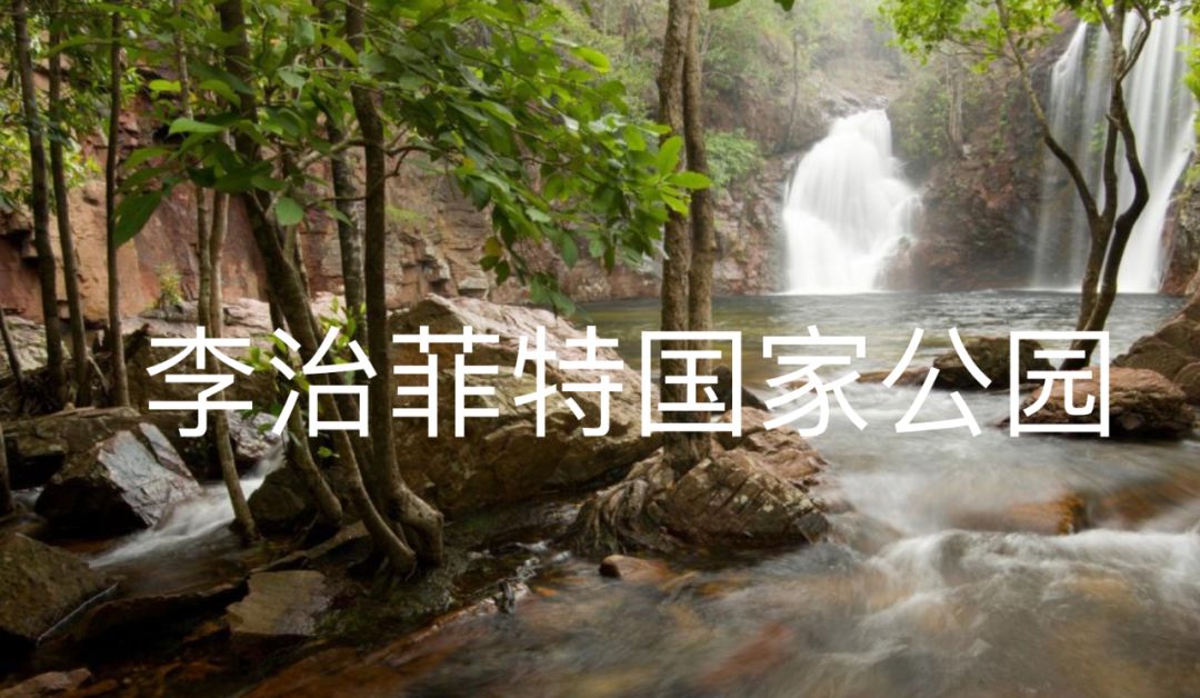 澳洲“封国”一年多，这些悄悄发生的变化，让全世界羡慕（组图） - 37