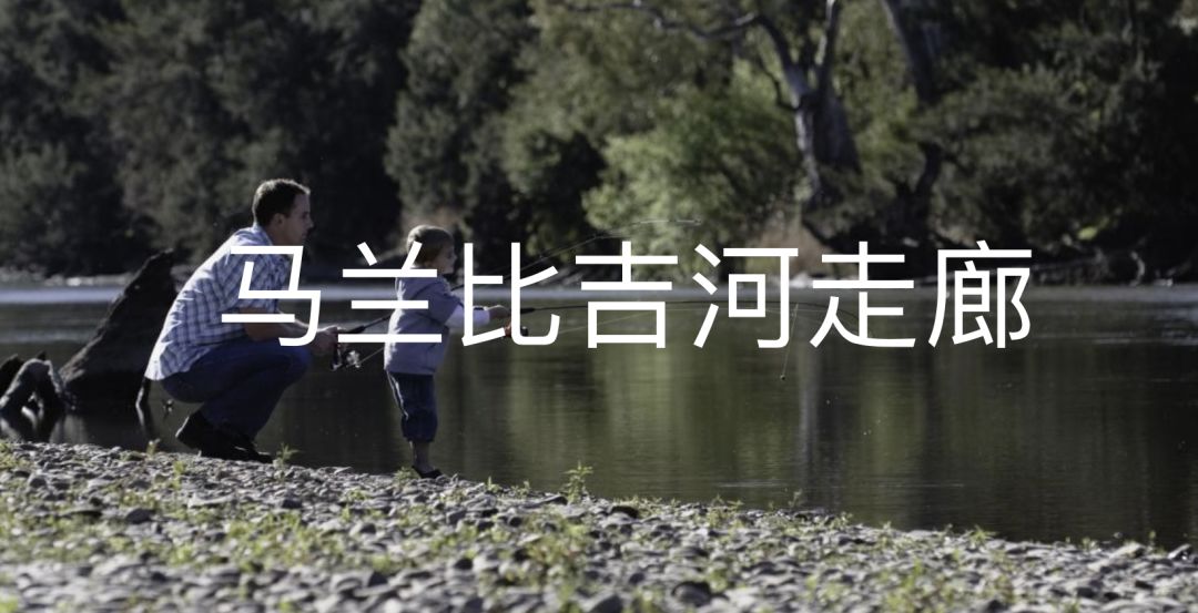 澳洲“封国”一年多，这些悄悄发生的变化，让全世界羡慕（组图） - 33