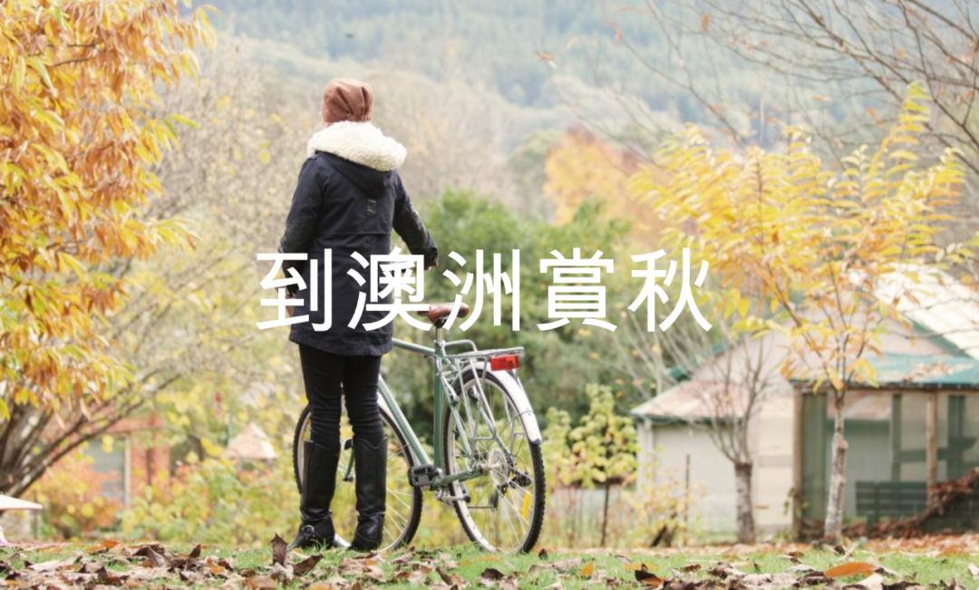 澳洲“封国”一年多，这些悄悄发生的变化，让全世界羡慕（组图） - 9