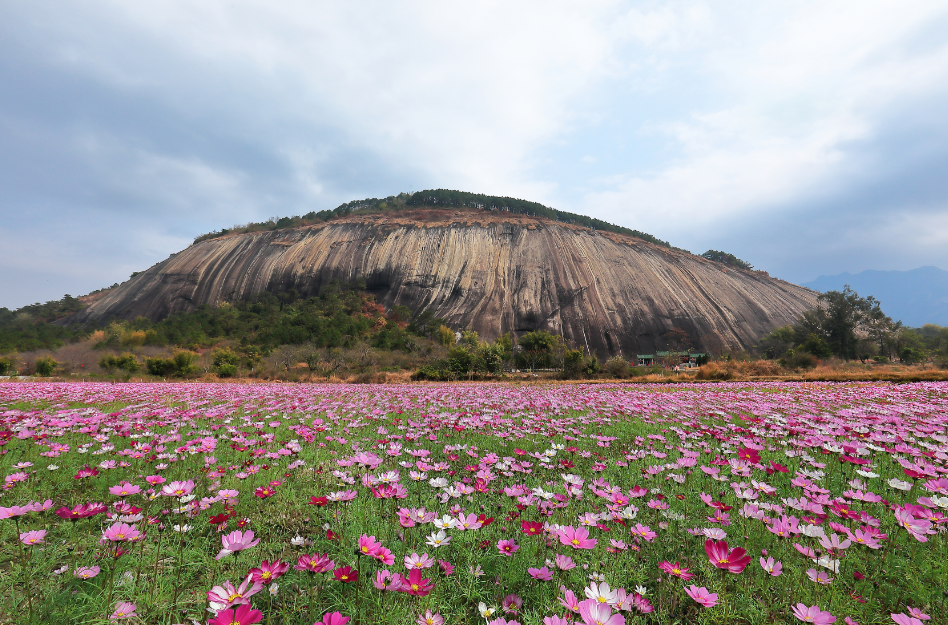 您好,这里是封开!请收下这张招商引资的新名片!--肇房网