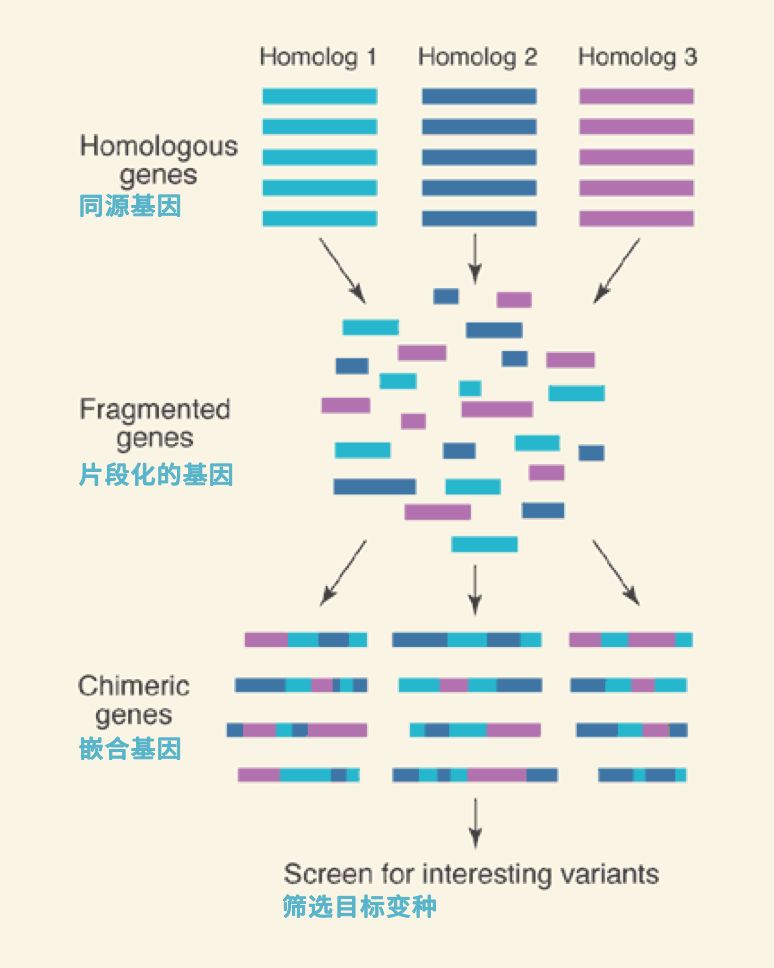 會進化的藥物：類風濕關節炎與牛皮癬神藥的誕生 | 直擊諾獎 健康 第6張