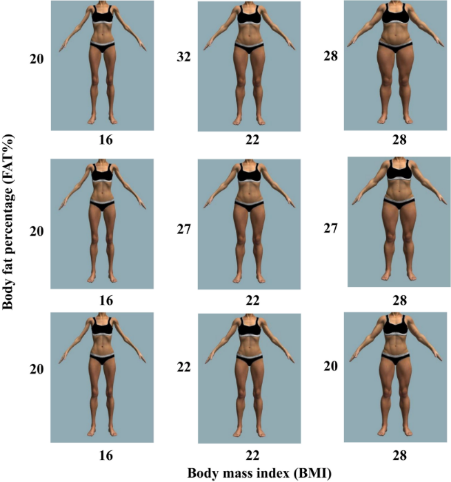 男性没那么偏爱女性的骨感 女性也没那么喜欢男性的肌肉 果壳网微信公众号文章