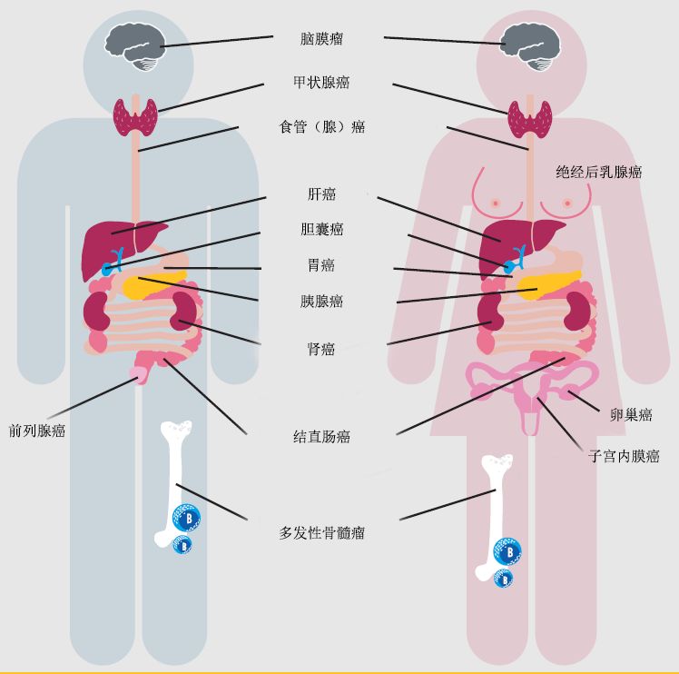 28腰围是多少cm_腰围是测量最细的地方吗_腰围是cm单位吗