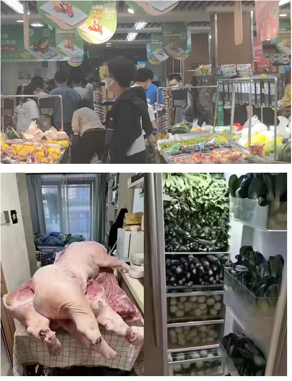 【宏照家教】封出的魑魅魍魉，闭来的牛鬼蛇神