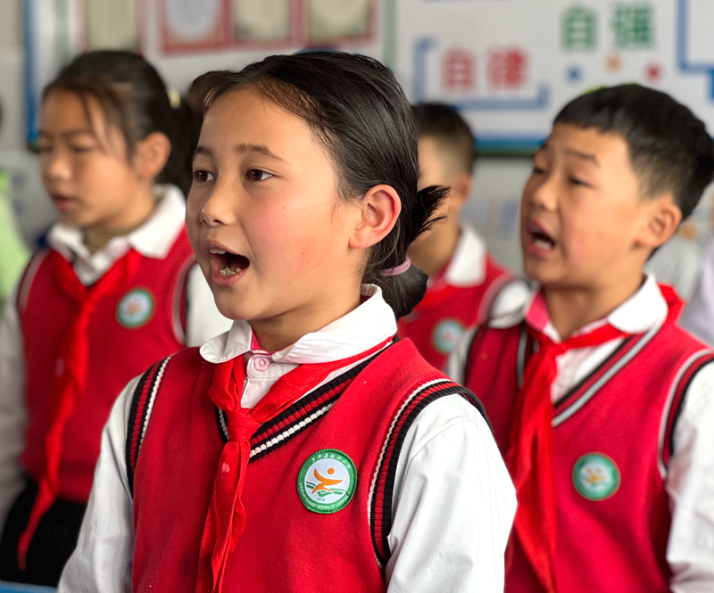 喜迎二十大 争当好队员 - 罗平县振兴小学 - 微信公众号文章 - 微小领