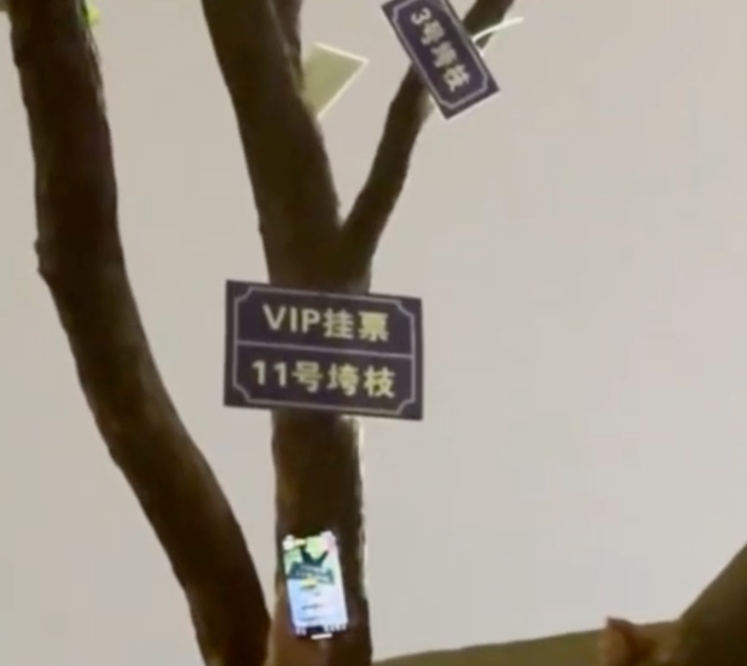 校长骂学生臭要饭?校方否认