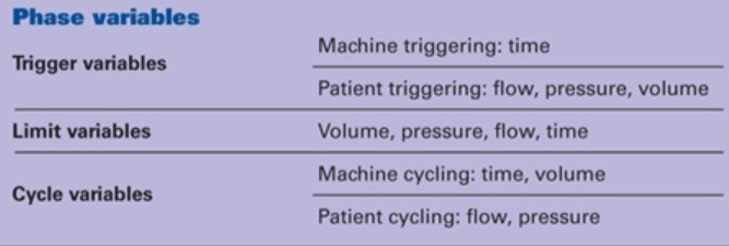 麻醉机上mv什么意思了解机械通气的事实_https://www.jmylbn.com_新闻资讯_第1张