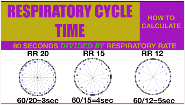 呼吸机吸呼比怎么算经典丨呼吸同步的基础：呼吸周期和呼吸比 I：E_https://www.jmylbn.com_新闻资讯_第2张