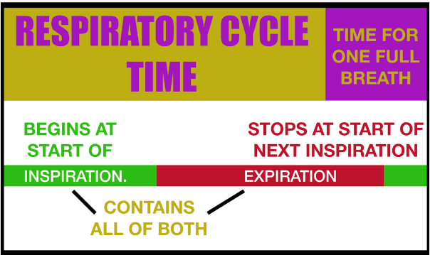 呼吸机吸呼比怎么算经典丨呼吸同步的基础：呼吸周期和呼吸比 I：E_https://www.jmylbn.com_新闻资讯_第1张