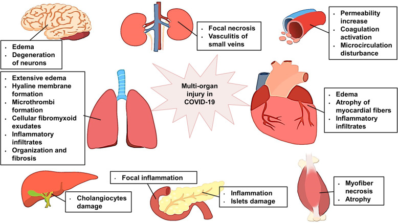 壳聚糖治什么病β-壳聚糖可以有效降低体内新冠病毒载量，帮助您恢复健康！_https://www.jmylbn.com_新闻资讯_第5张