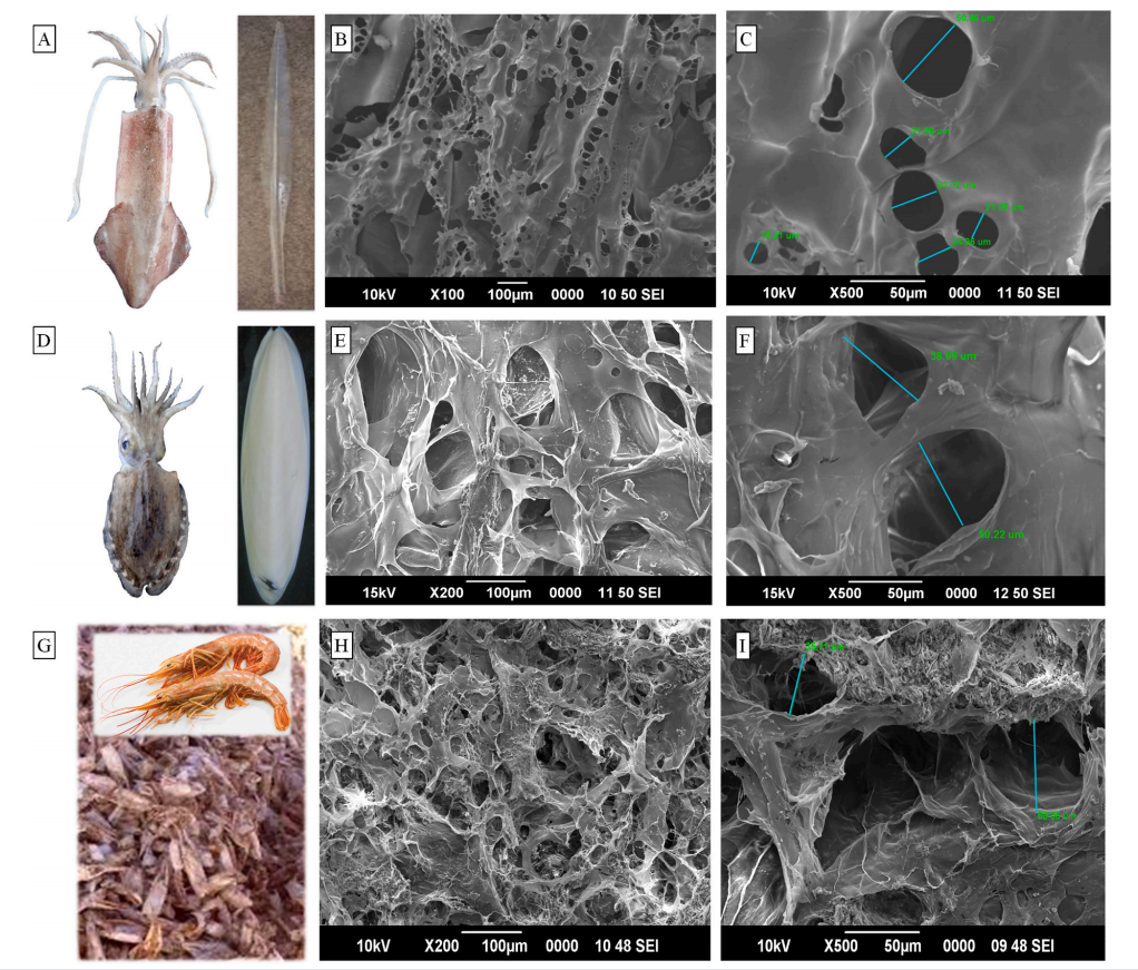 壳聚糖治什么病β-壳聚糖可以有效降低体内新冠病毒载量，帮助您恢复健康！_https://www.jmylbn.com_新闻资讯_第10张