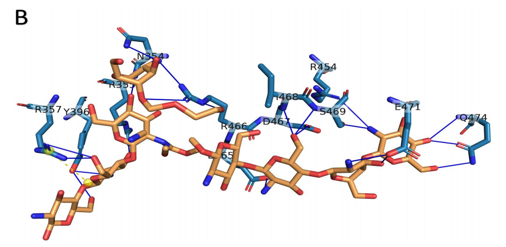 壳聚糖治什么病β-壳聚糖可以有效降低体内新冠病毒载量，帮助您恢复健康！_https://www.jmylbn.com_新闻资讯_第8张