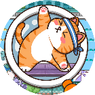 找出小猫咪