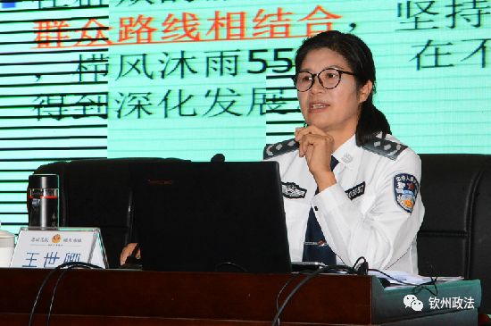 枫桥经验观后感_观看枫桥经验的观后感_学枫桥经验心得体会