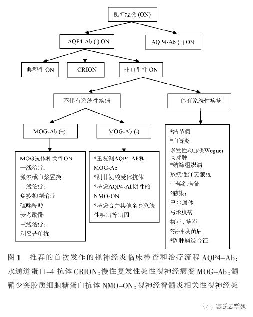 眼科专题 非典型性视神经炎的分类及诊治新观点 赛氏云学苑 微信公众号文章阅读 Wemp