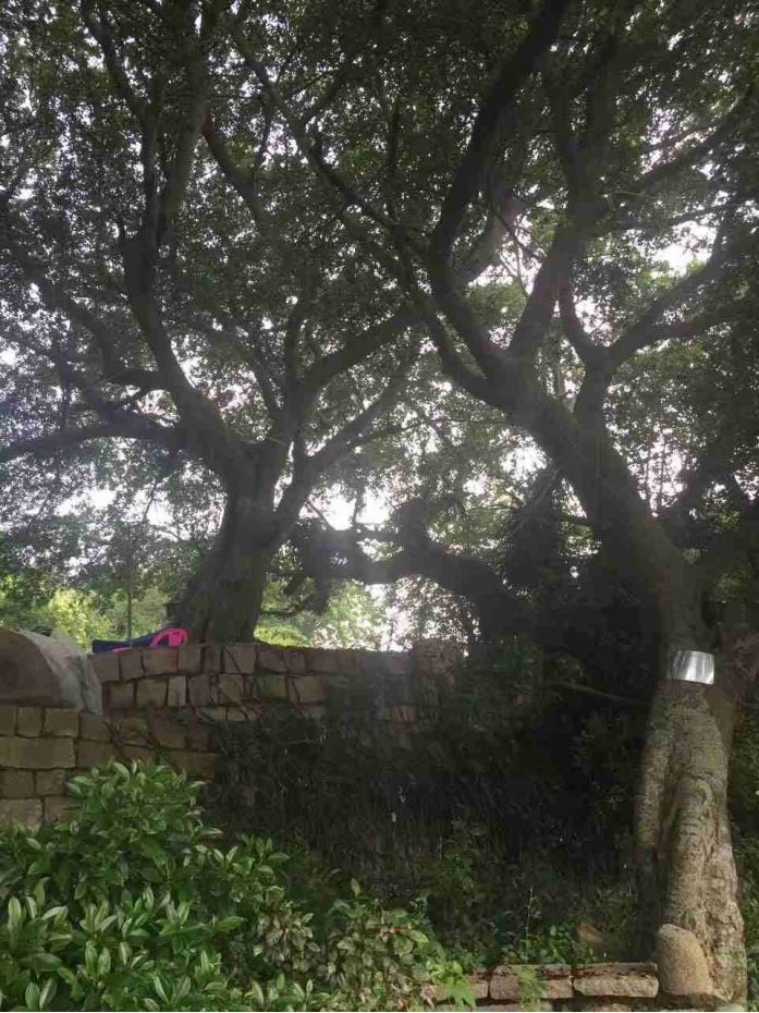 六鳌遇见海景酒店 史上最大折扣预售来啦！(图48)