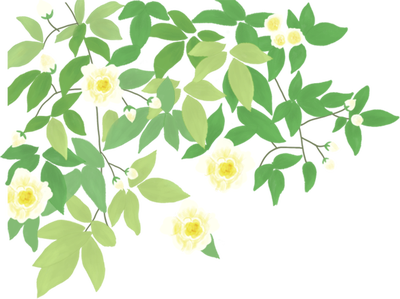 为战疫而逝 好一朵美丽的茉莉花 追记广西第七批援湖北省抗疫医疗队员 南宁市第六人民医院护士梁小霞 南宁新闻