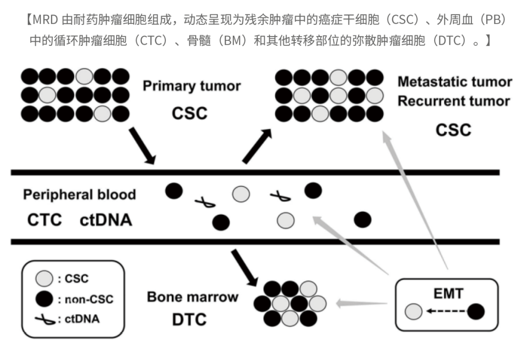 bm细胞是什么细胞Pediatric Blood & Cancer ｜ 微小残留病灶（MRD）——神经母细胞瘤患者_https://www.jmylbn.com_新闻资讯_第1张