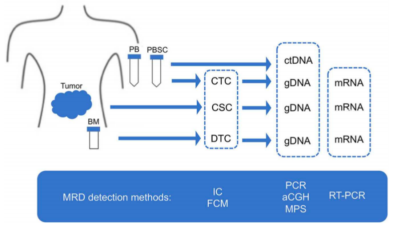 bm细胞是什么细胞Pediatric Blood & Cancer ｜ 微小残留病灶（MRD）——神经母细胞瘤患者_https://www.jmylbn.com_新闻资讯_第3张