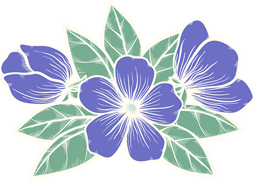 花灵秘闻丨三色堇——射出去的箭，一往无前，绝不回头（