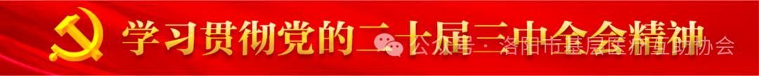 神鹿医疗垫怎么睡洛阳医协会理事深入宝神鹿名医堂调研 共探基层医疗发展新路径_https://www.jmylbn.com_新闻资讯_第1张