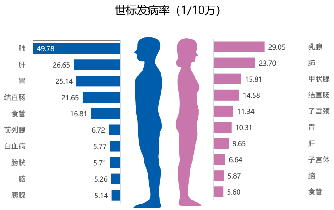 國(guó)家癌癥中心剛剛發(fā)布：2022年全國(guó)癌癥報(bào)告
