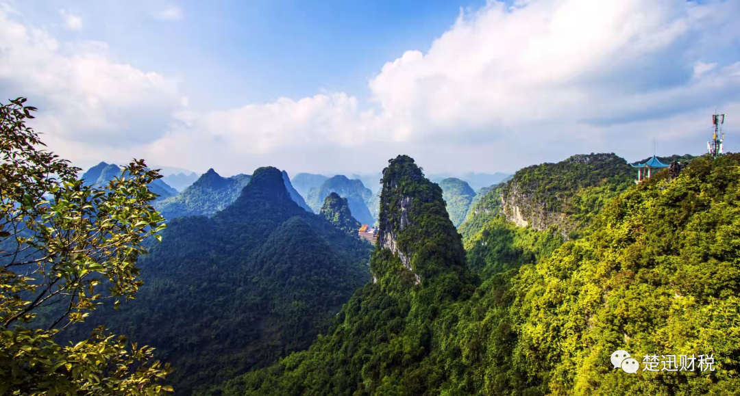 稅籌，還是稅坑？