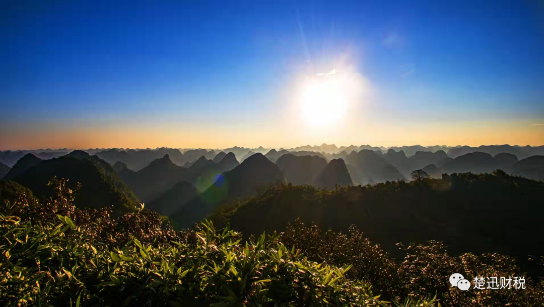 稅籌，還是稅坑？