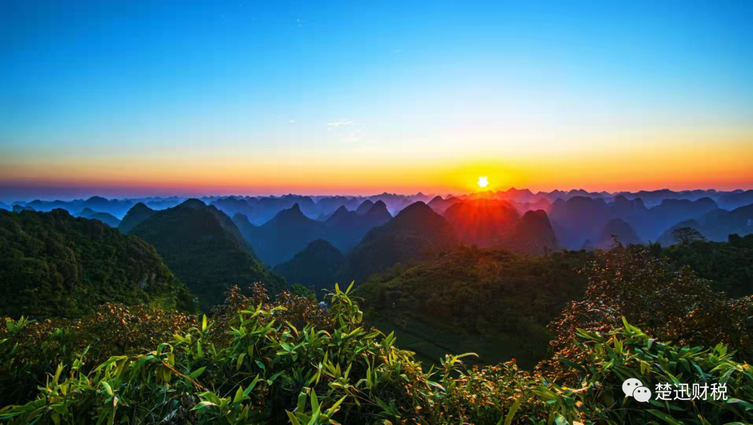 稅籌，還是稅坑？