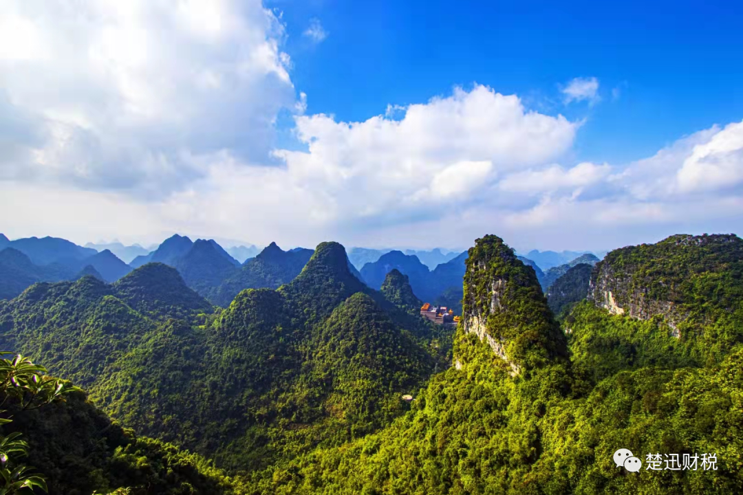 稅籌，還是稅坑？