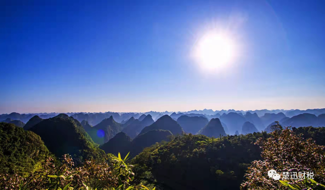 稅籌，還是稅坑？