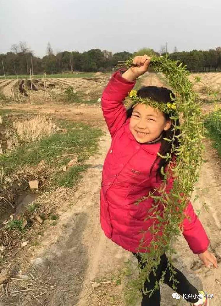 小浦小学301班 王艺融    指导老师:章斌