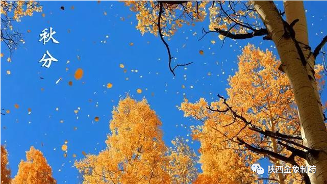 秋分后要注意什么孩子少生病 秋分后让孩子少生病的4个要点 秋分后注意四点可以让孩子少生病