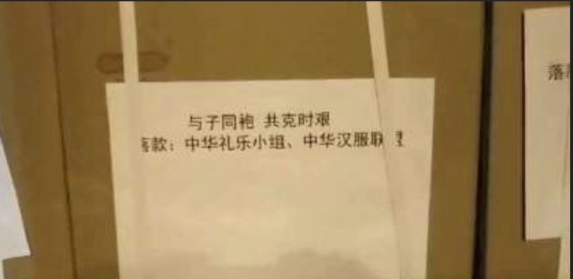 海外华人和留学生回国，为何成了“过街老鼠”？（组图） - 13