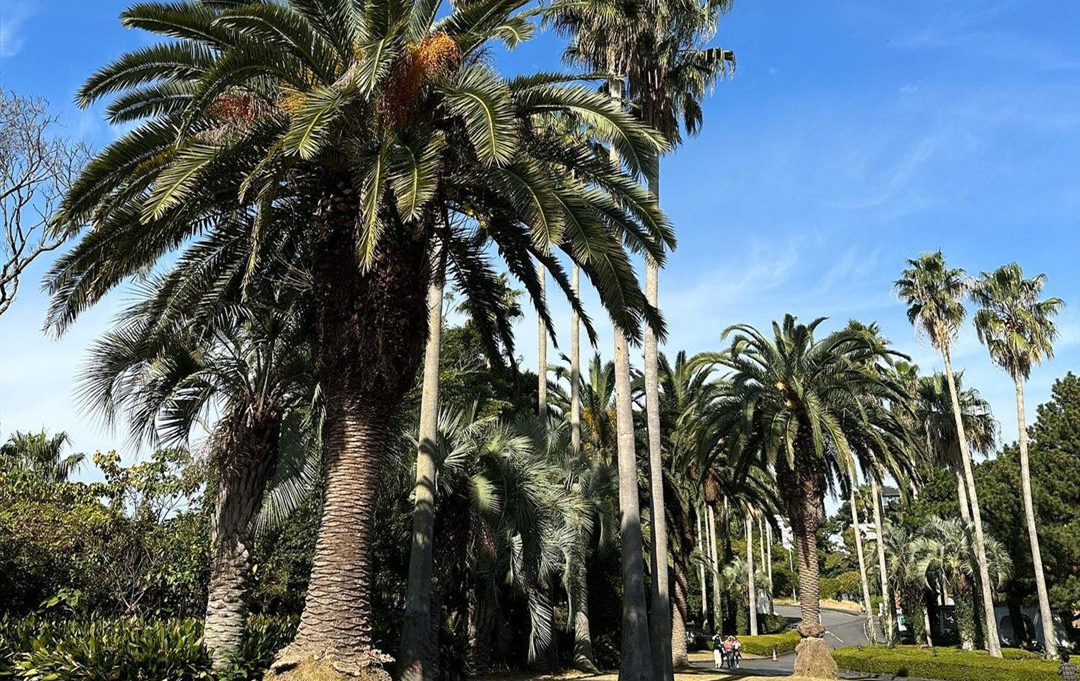 有錢人為什么去美國(guó)生孩子_美國(guó)生孩子給錢_美國(guó)生孩子給多少錢