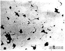 QT450-10铸态球铁，球化级别为1～4级的机械性能研究的图11