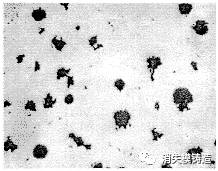 QT450-10铸态球铁，球化级别为1～4级的机械性能研究的图3