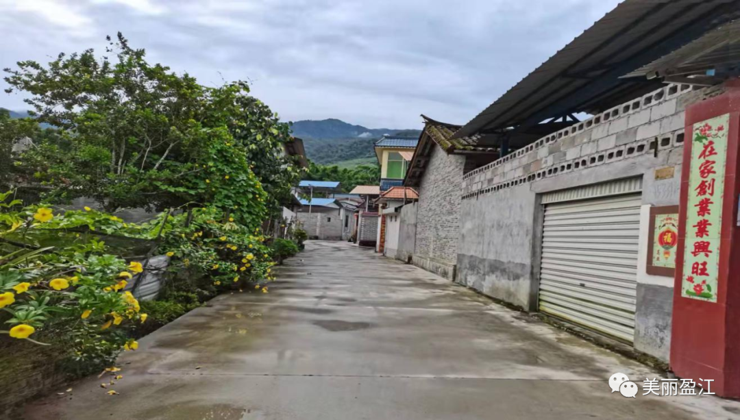 【曝光】旧城镇,卡场镇,芒章乡农村人居环境整治"红黑榜"_盈江县融